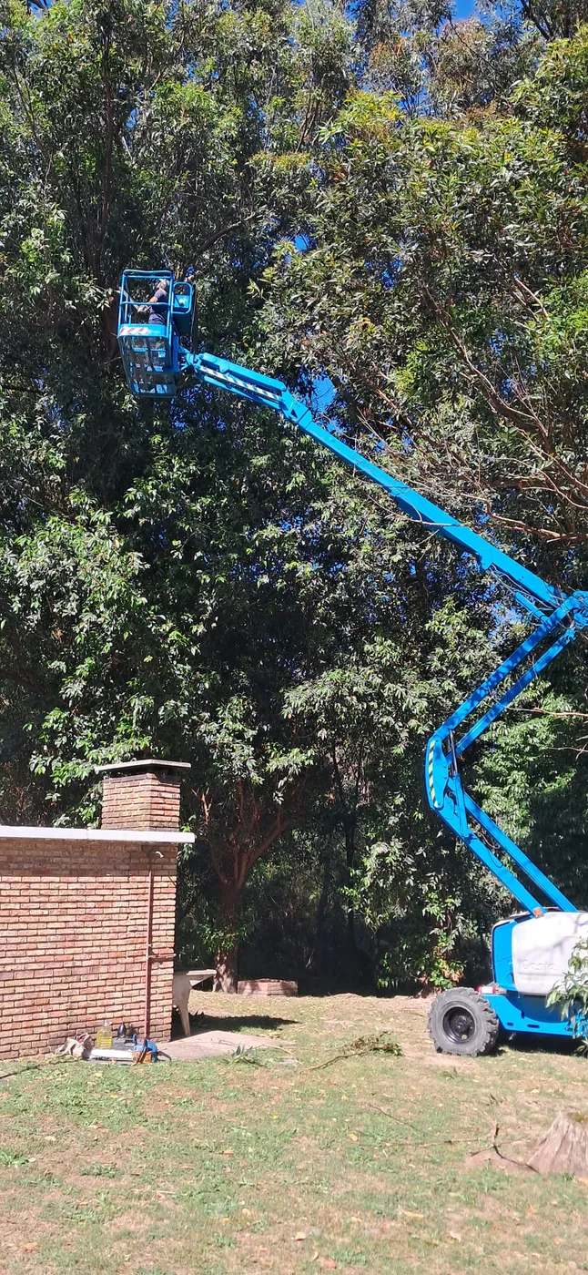 Plataforma elevadora articulada Genie en trabajo de altura Uruguay